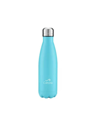 Stainless Steel Water Bottle - 17oz