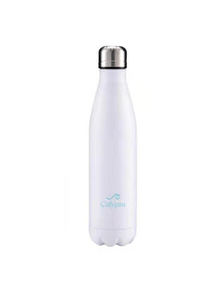 Stainless Steel Water Bottle - 25oz