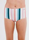 High-Waisted Bikini Bottom - Multi Stripe
